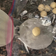 Illustration for article titled Homemade tortillas are worth every imperfection